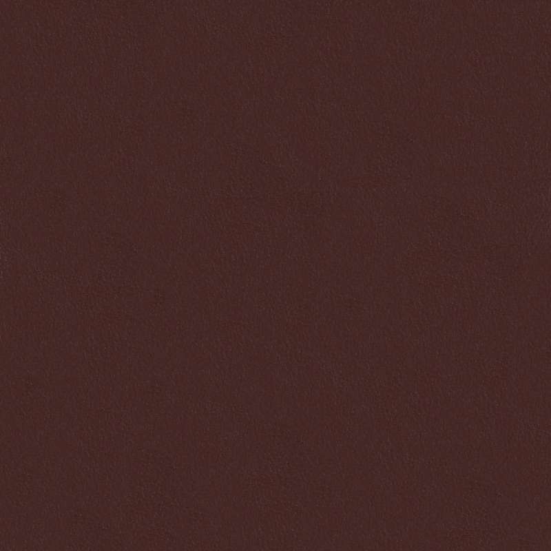 Evo Cv Shiraz