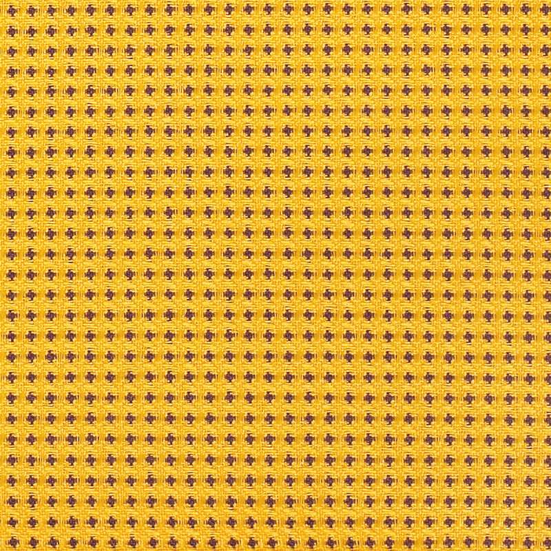 Expo Lemon