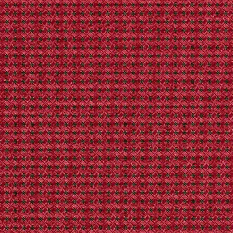 Expo Raspberry