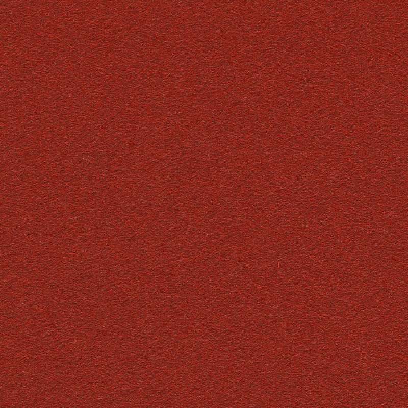 Felt Calladium