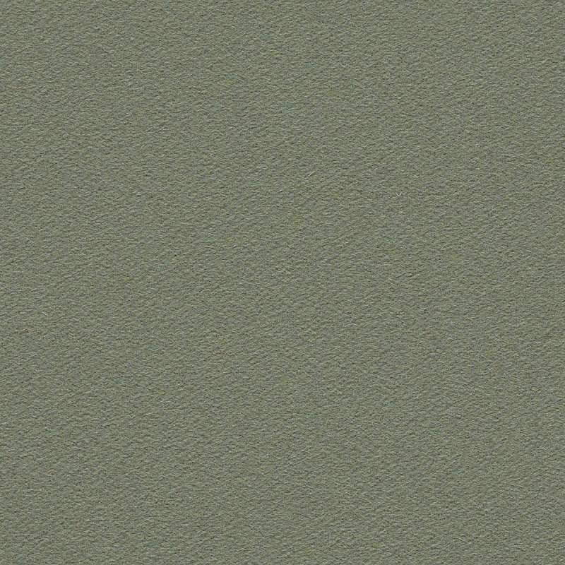 Felt Froth