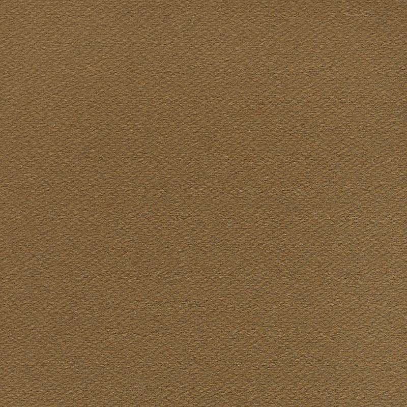 Felt Morel