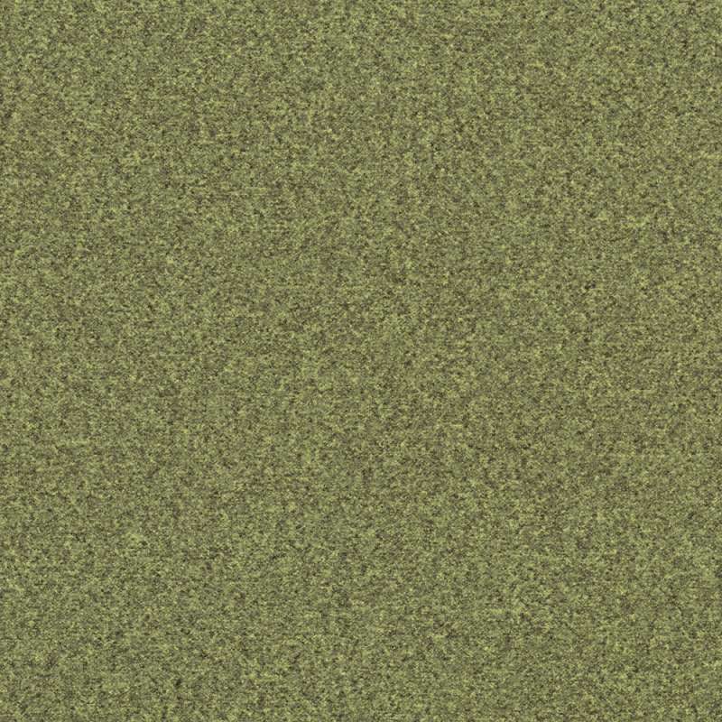 Feltro Sprout