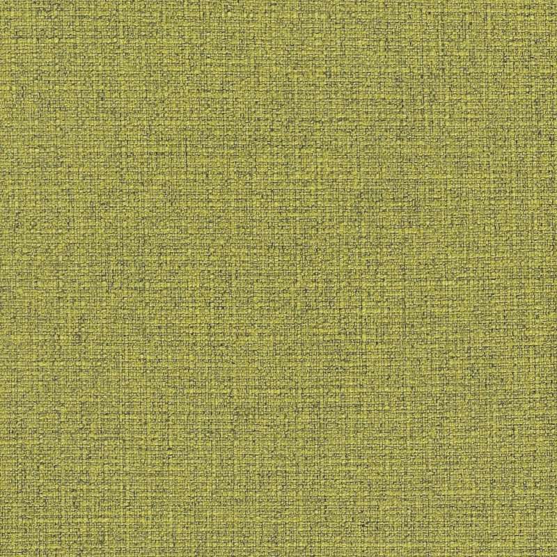 Flock Fern