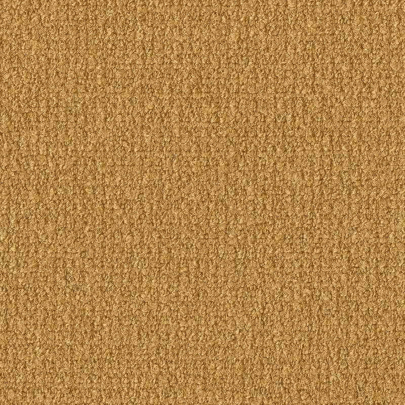 Forest Floor Midas