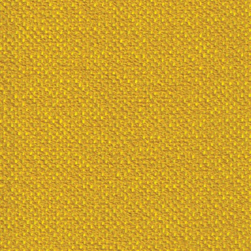 Tete A Tete Jaune