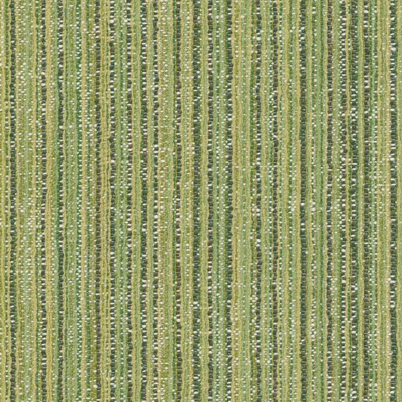 Hilo Palm