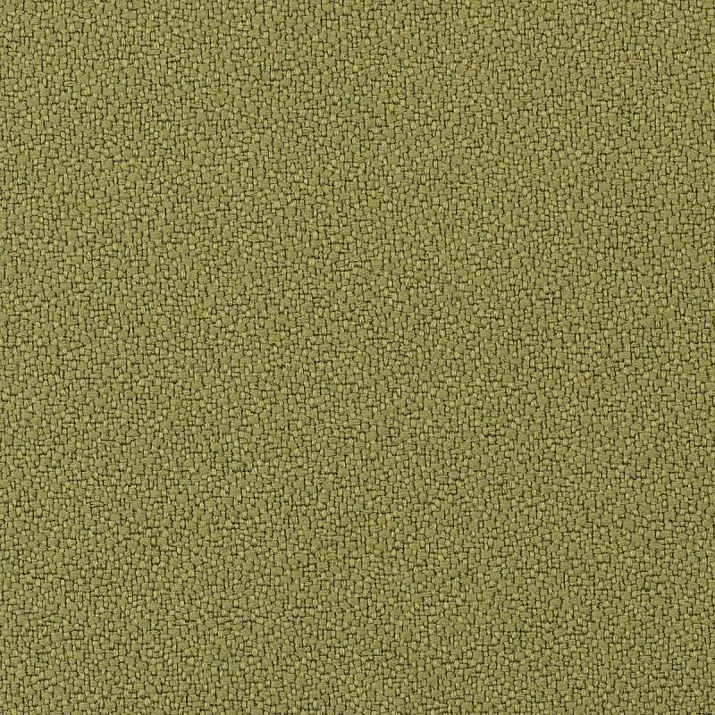 Hue Fern