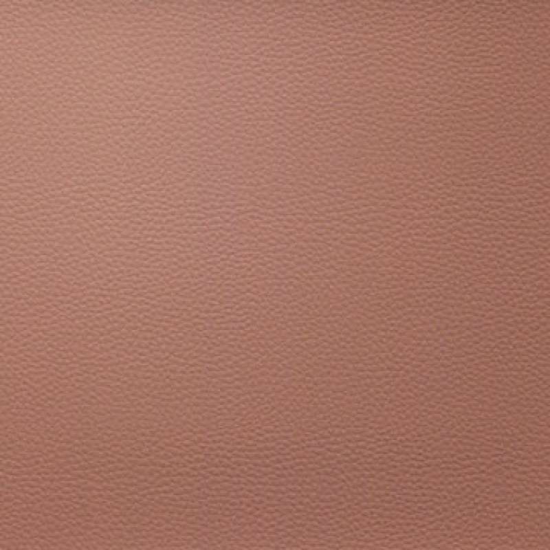 Hyde Cv Blush