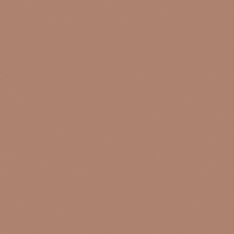 Hyde Cv Camel