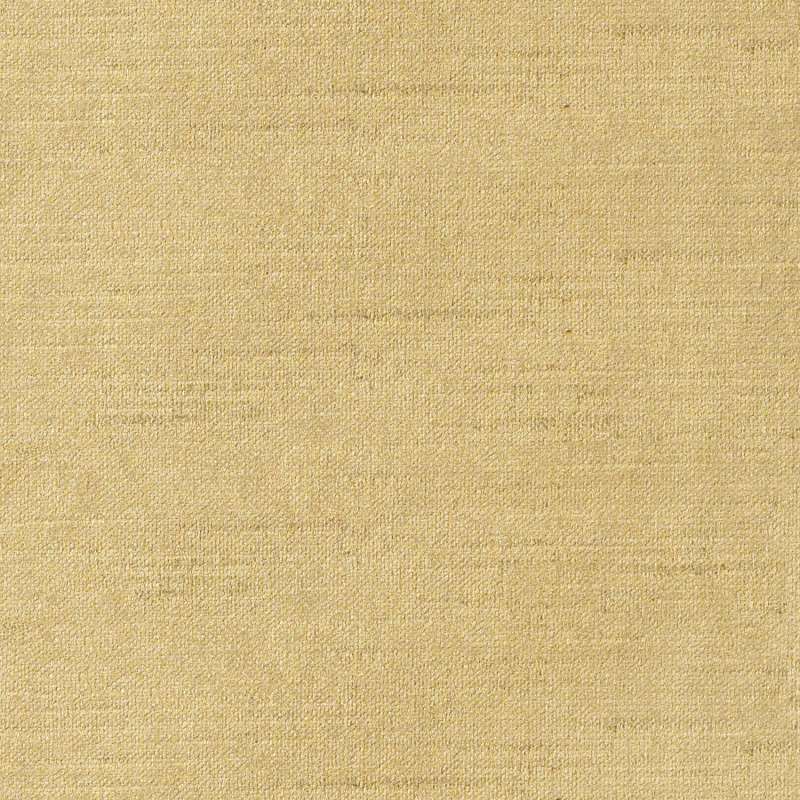 Illumina Champagne
