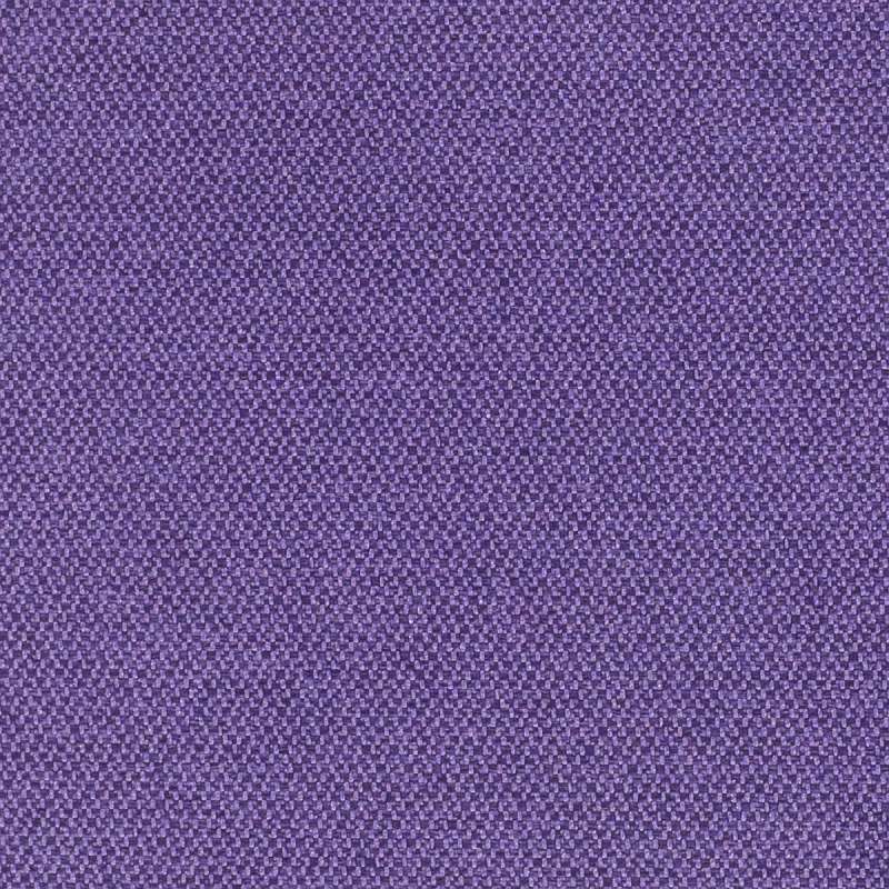 Infinity C-zero Hyacinth