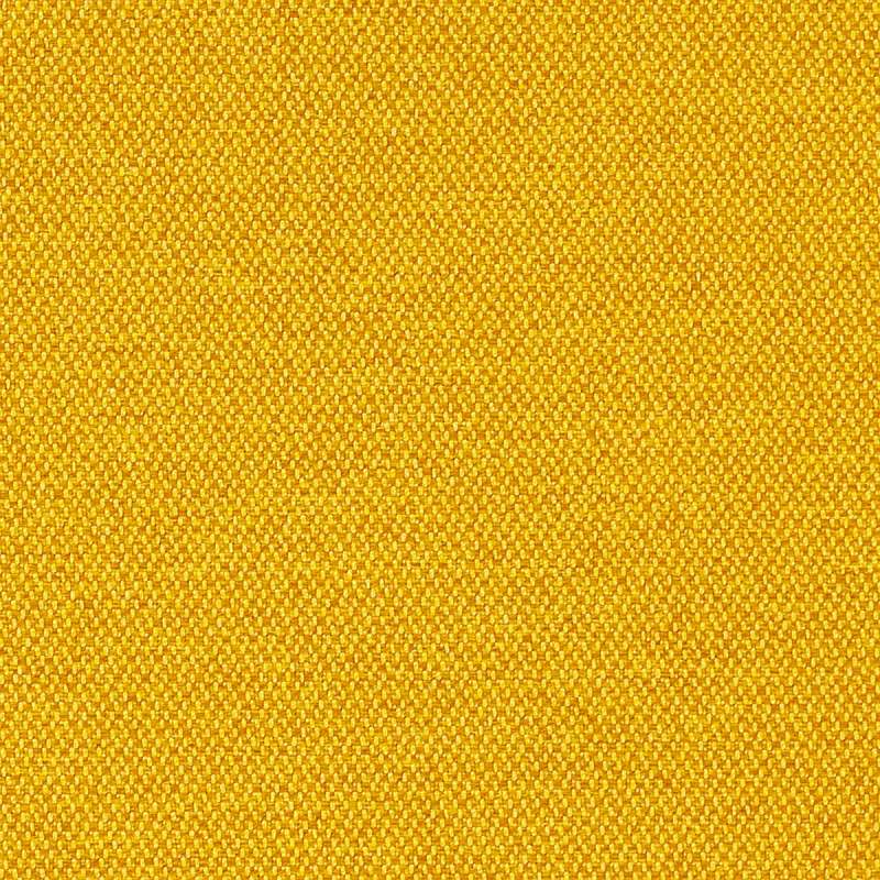 Infinity C-zero Maize
