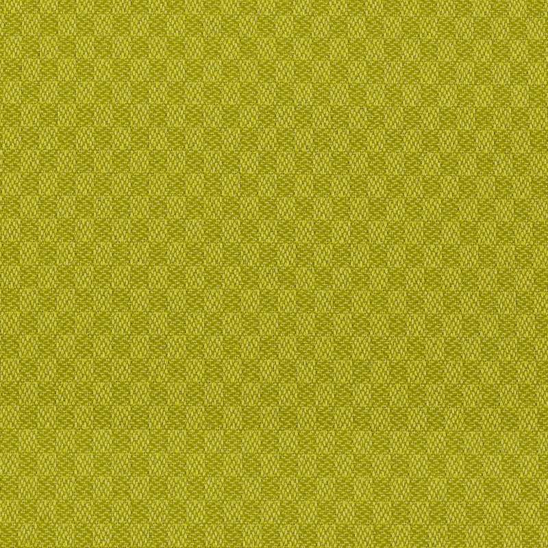 Insight Wasabi
