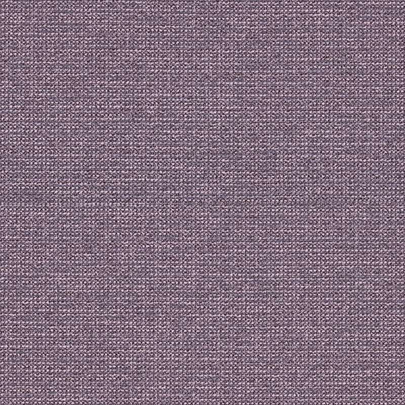 Keeper Cv Larkspur