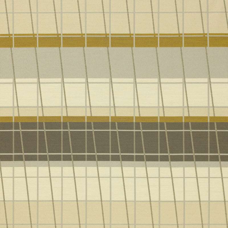 Lines On Stripes Desert