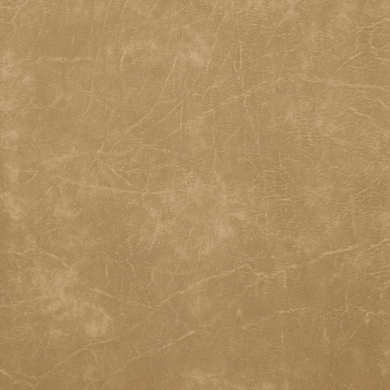 Lugano Bark