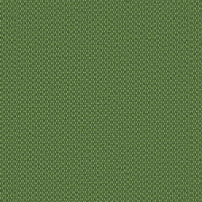 Marathon C-zero Foliage