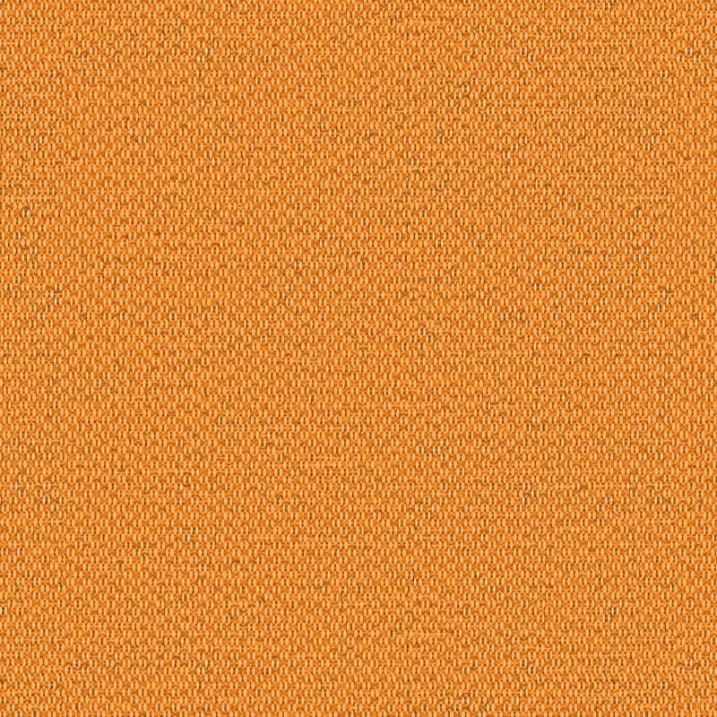 Marathon C-zero Marigold