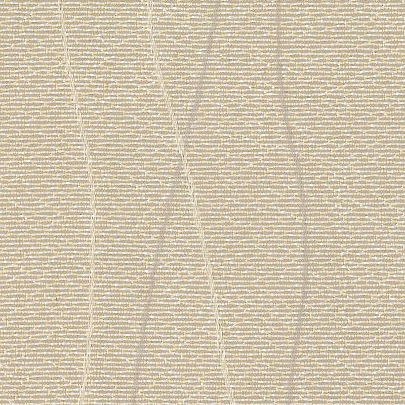 Meander Sandshell