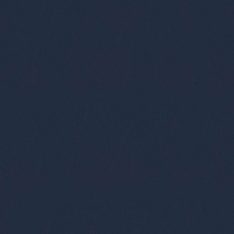Wrangler #15 Midnight