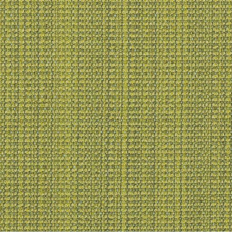 Modiste Kiwi