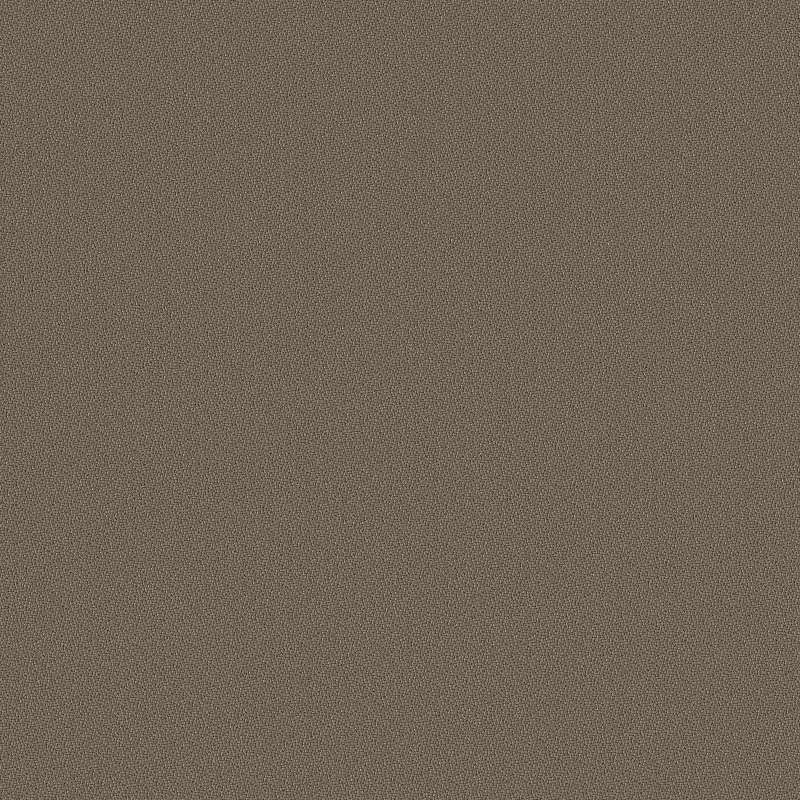 Origin Seed