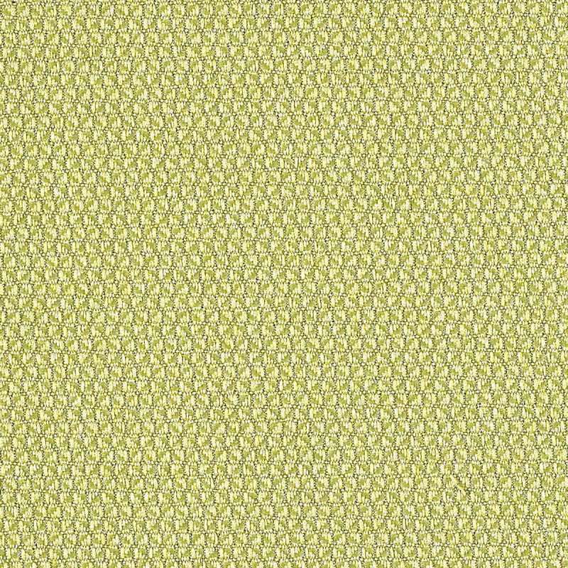 Pact Fern