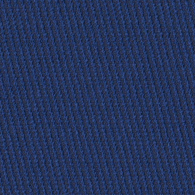 Phoebe Ultramarine