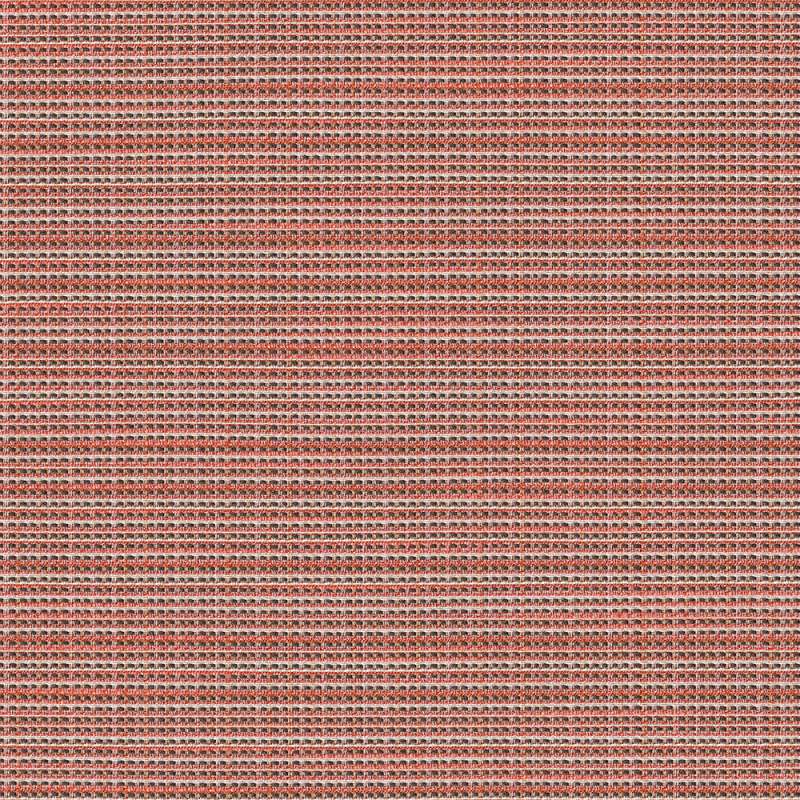 Piper Coral