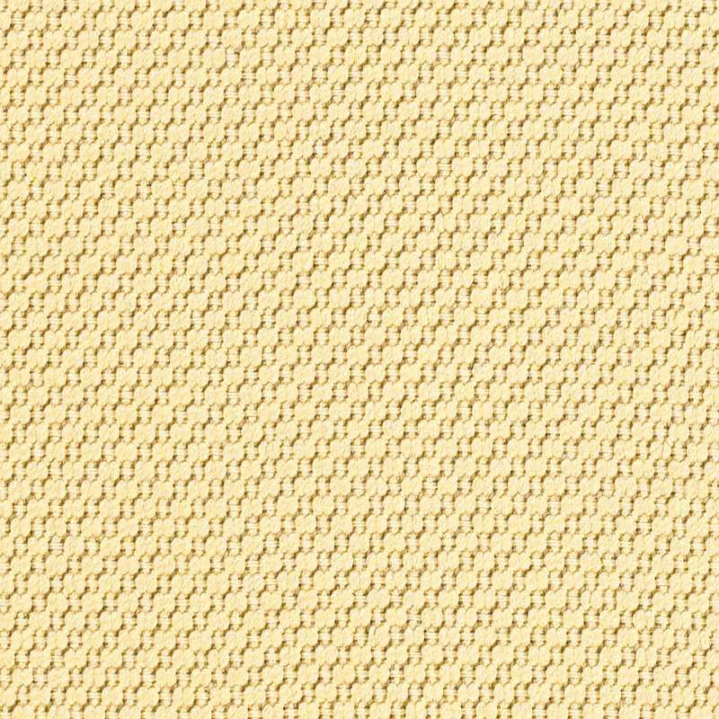 Plus Parchment