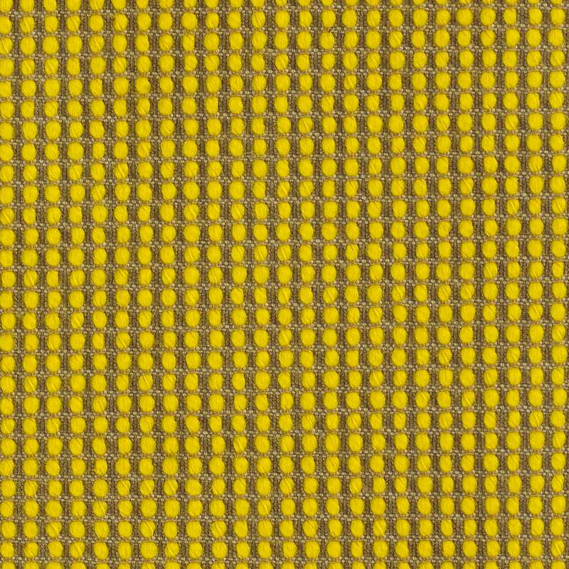Polka Zest