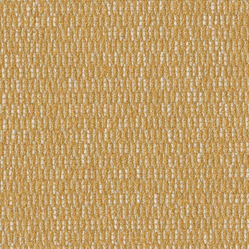 Raindrops Maize
