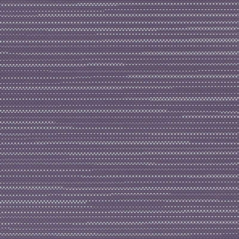 Row Iris