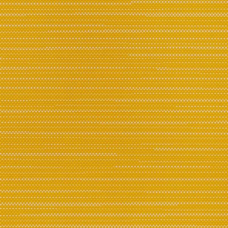 Row Marigold