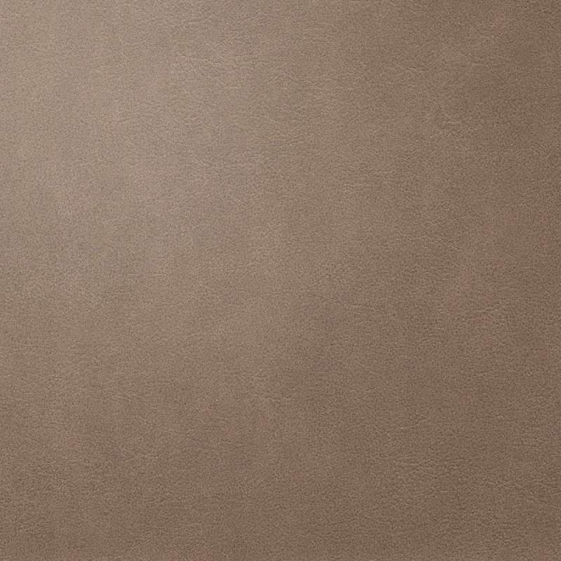 Rustic Brown Swiss