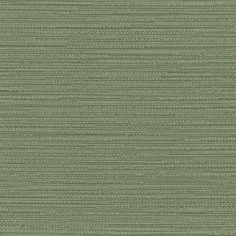 Sanya Cv Fern