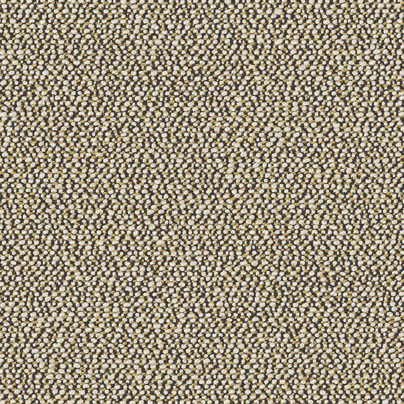 Seacoast Moss