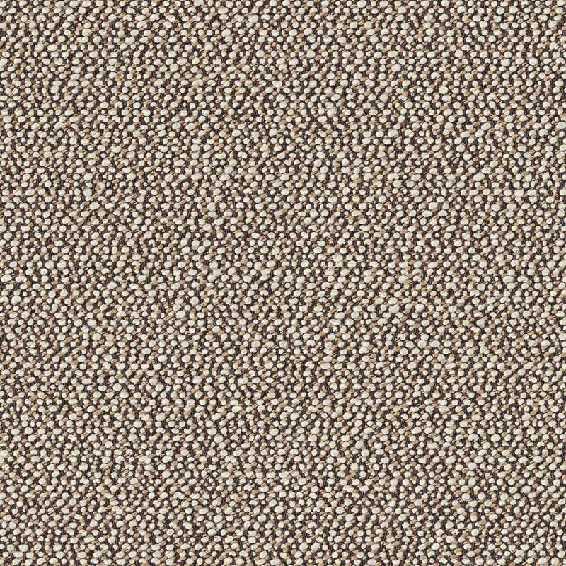 Seacoast Briar