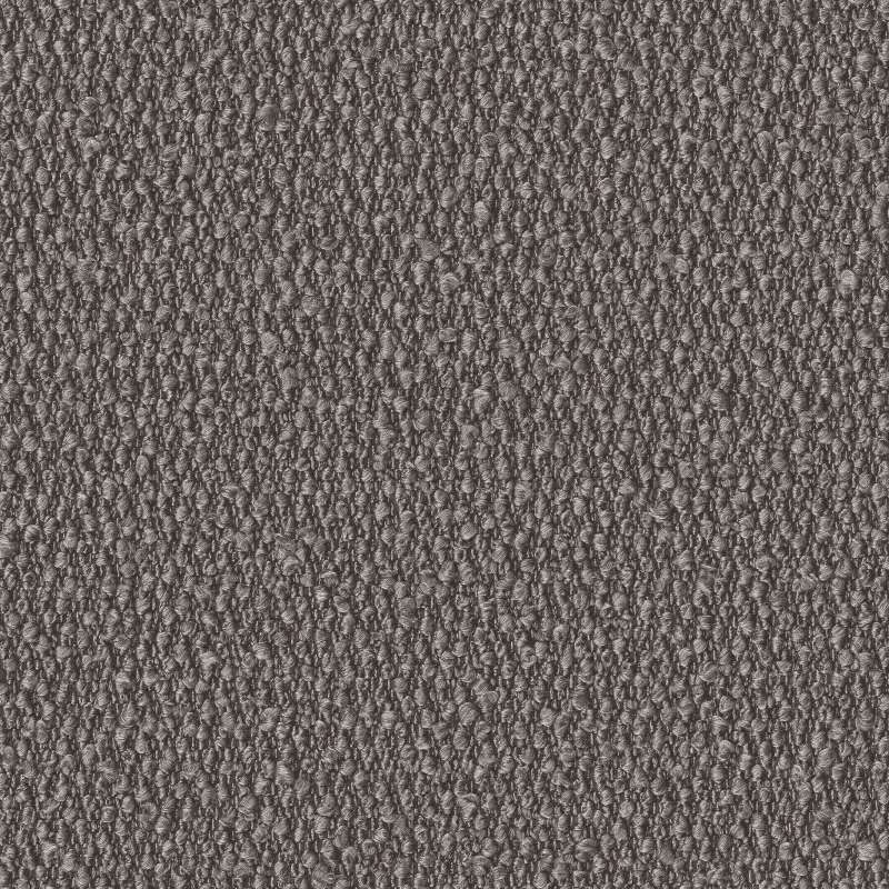 Secco Fossil