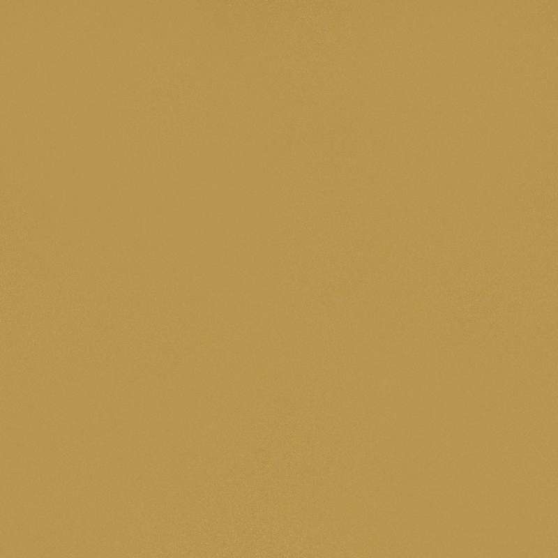 Silica Ginger