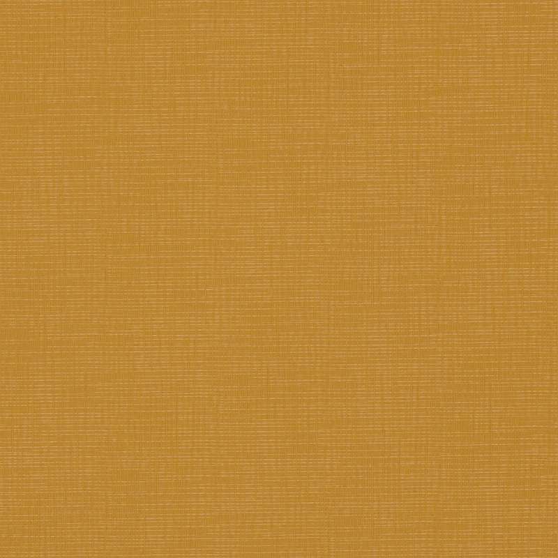 Silica Etch Camel