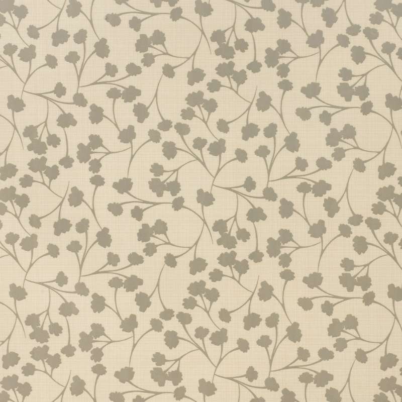 Silica Hiatus Carrara
