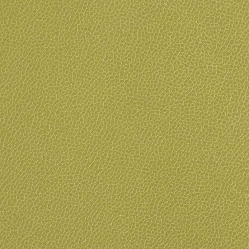 Silica Leather Aloe
