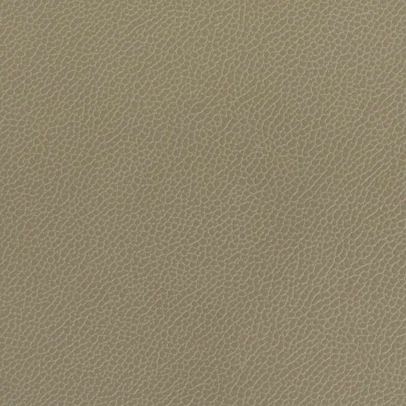 Silica Leather Lichen