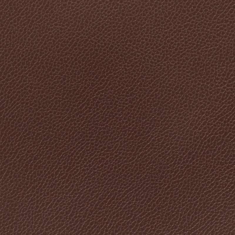 Silica Leather Raisin