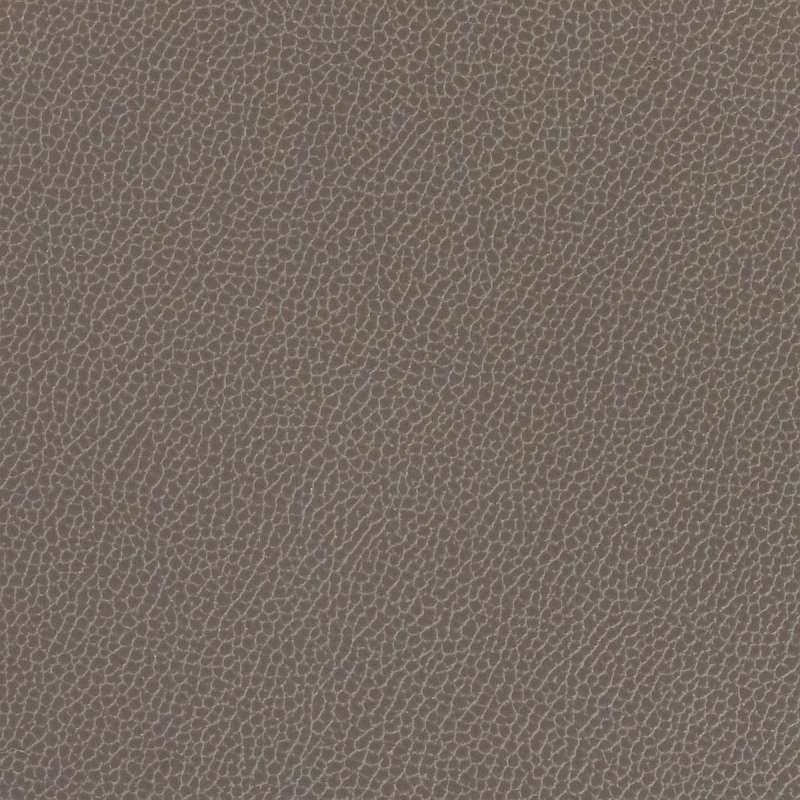 Silica Leather Shadow