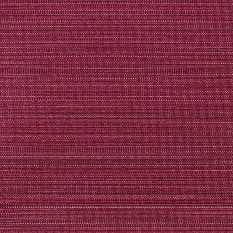 Skip Fuchsia