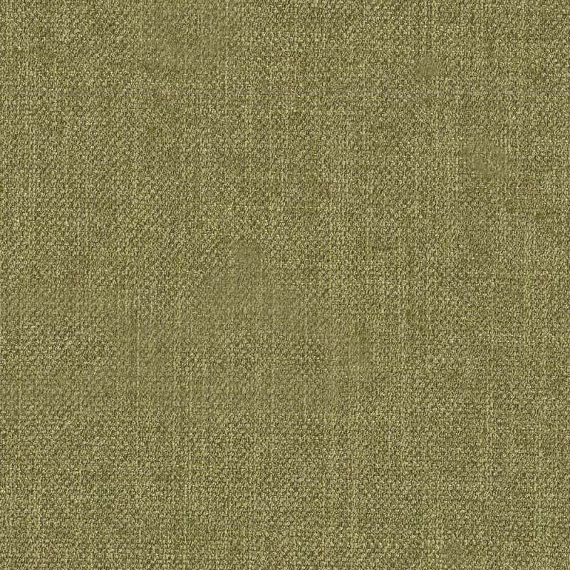 Smart Soft Kiwi