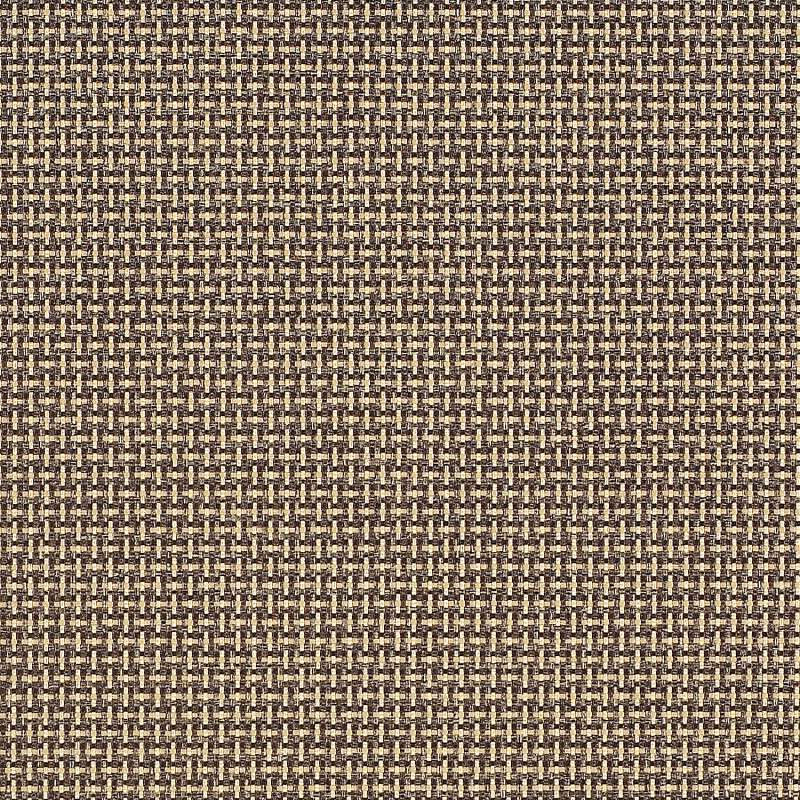 Solitaire Derby
